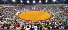 Uma verdadeira noite de Toiros em Almeirim